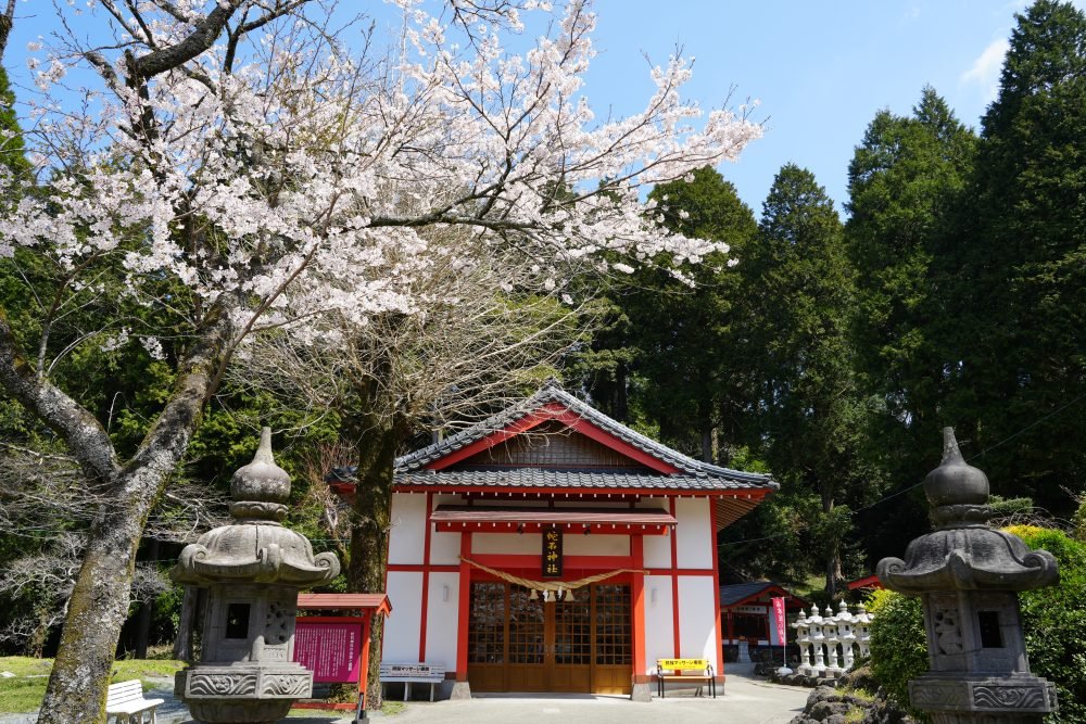 ⛩️ 아소 신사(아소진자) 이미지 3